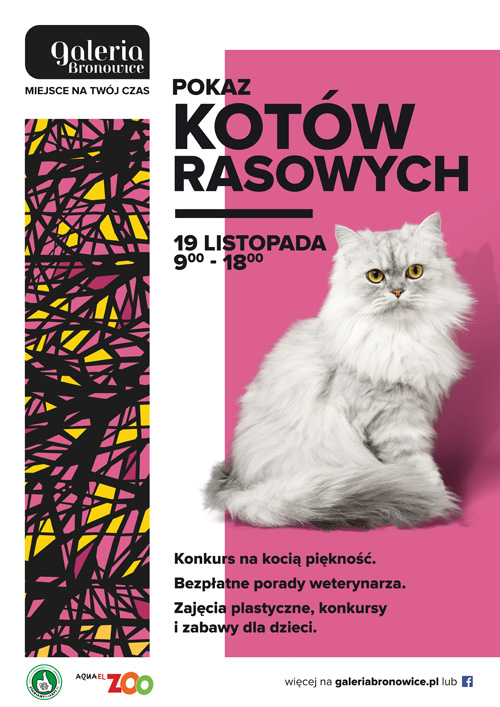 The Show of Purebred Cats at GaleriaBronowice